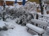 Winter in our courtyard